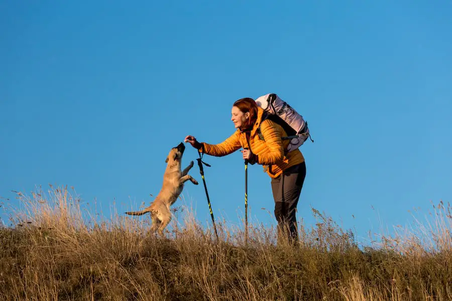 Lady with her dog on the trail hiking and enjoying the outdoors - Can You Thru-Hike With A Dog