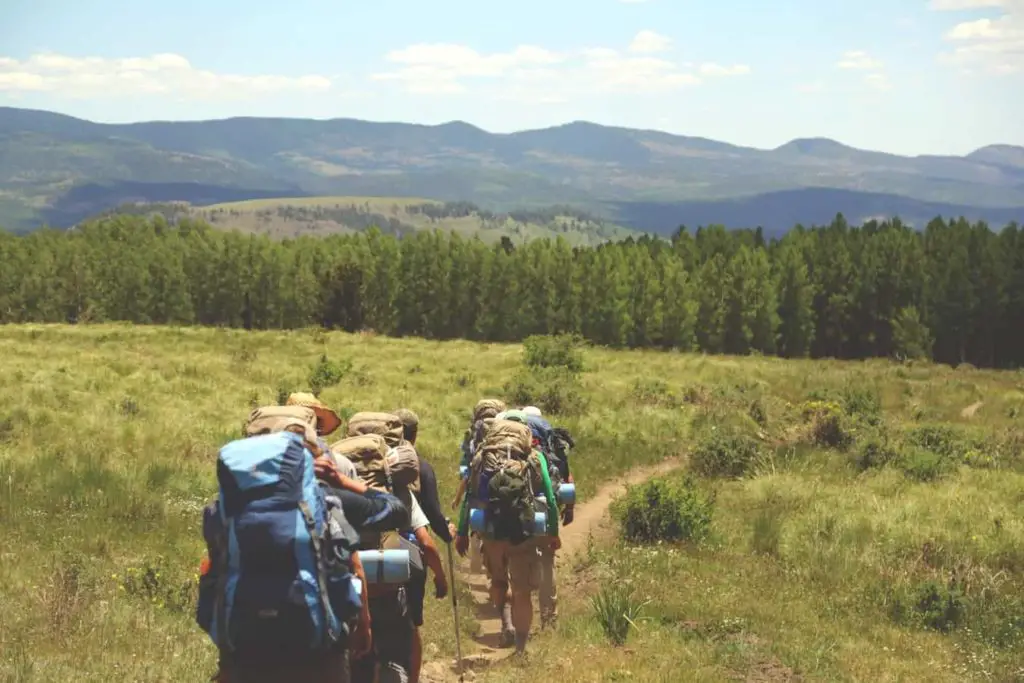 Hikers hiking into the field heading for the forest - What is Backpacking Base Weight