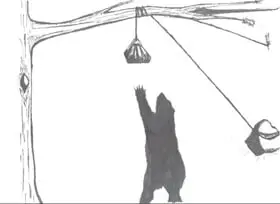 Bear bag illustration for PCT method - How Do Bear Bags Work