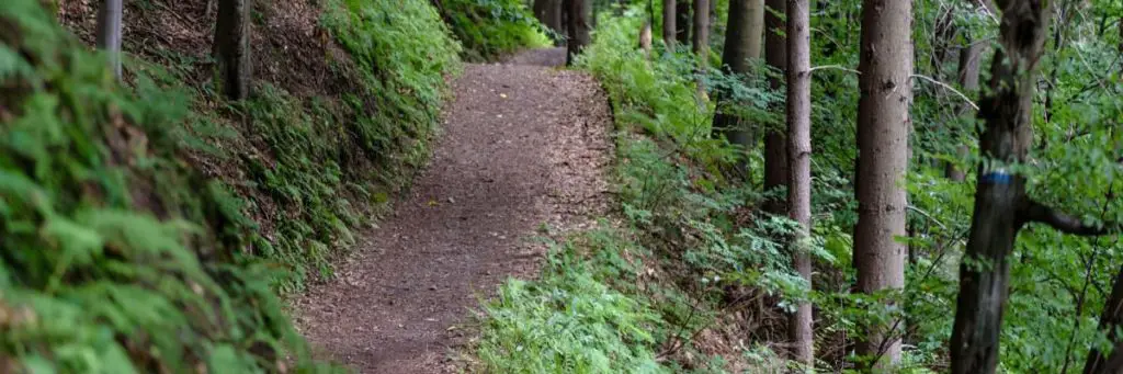 Trail start and a path - What to Know Before Hiking the Appalachian Trail