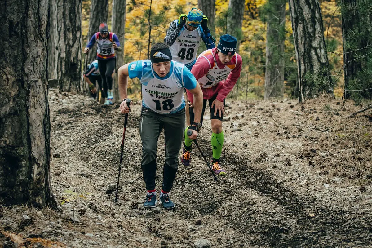 Group of athletes running uphill through the woods