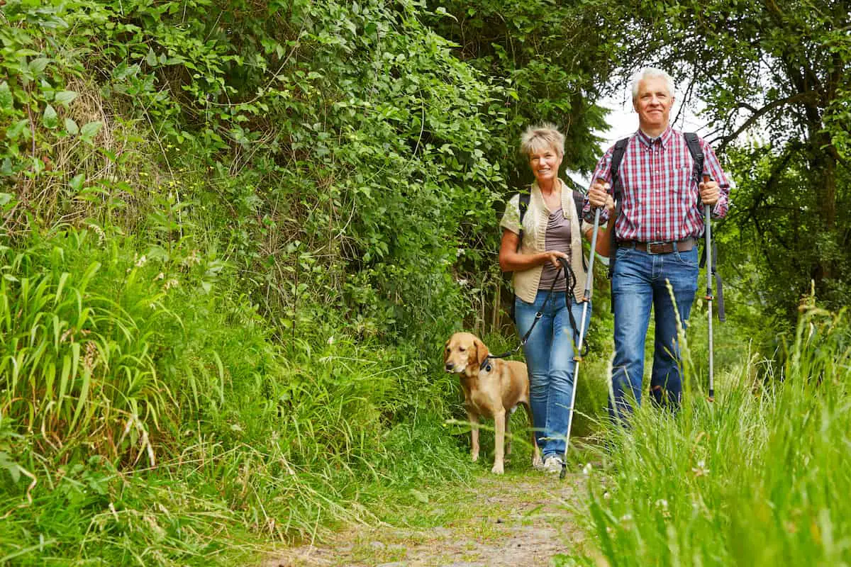 Happy senior couple walking with dog on a hiking trail